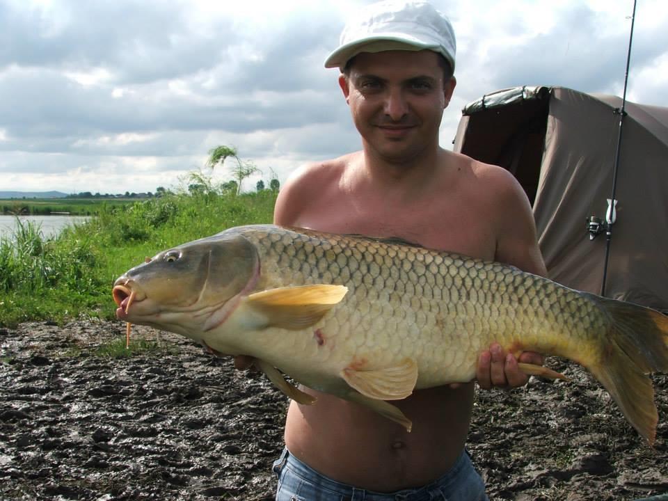 Lates iunie 2013 - 10440455931969040808481785899490n.jpg